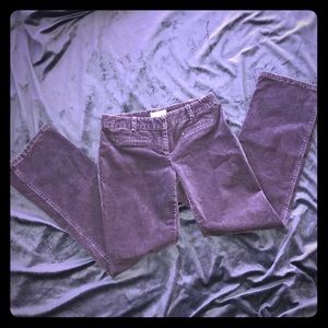 🥂 3/$20 Item: Velvety light gray/plum color pants